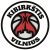 Vilniaus Kibirkštis