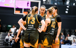 Vaitekūnaitės sezono mačas pažymėtas triuškinamu „Šiaulių-Vilmers“ triumfu